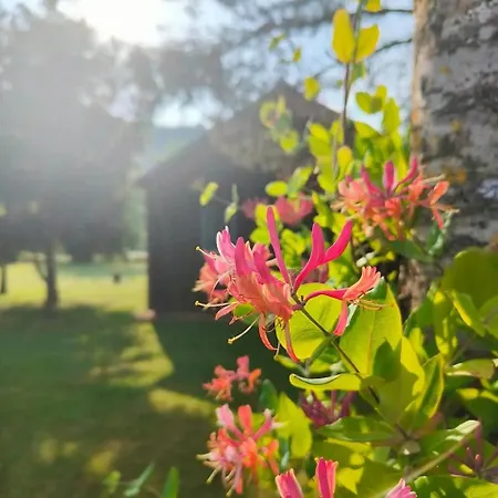 De La Colagne Resort Bourgs sur Colagne